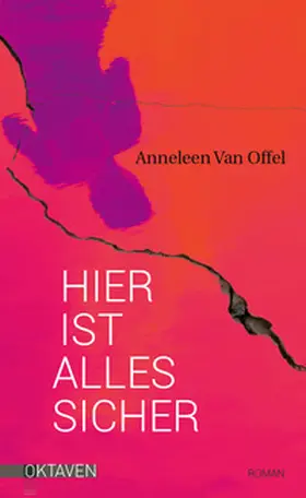 Offel |  Hier ist alles sicher | Buch |  Sack Fachmedien