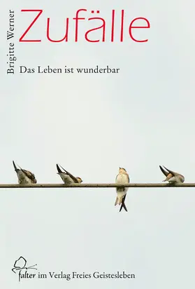 Werner | Zufälle | E-Book | www.sack.de