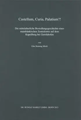 Michl |  Castellum, Curia, Palatium?! | Buch |  Sack Fachmedien