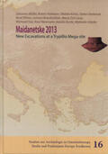 Müller / Rassmann / Videiko |  Maidanetske 2013 | Buch |  Sack Fachmedien