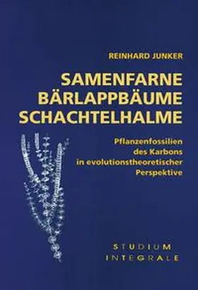 Junker |  Samenfarne, Bärlappbäume, Schachtelhalme | Buch |  Sack Fachmedien