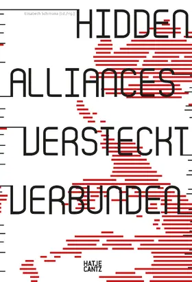 Schimana |  Hidden Alliances / Versteckt verbunden | Buch |  Sack Fachmedien
