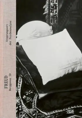 Finzi / Pessler / Hustvedt |  Freud, Berggasse 19 | Buch |  Sack Fachmedien