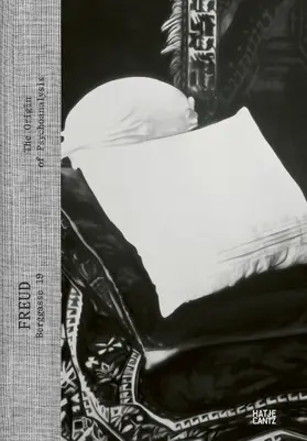 Pessler / Finzi / Hustvedt |  FREUD | Buch |  Sack Fachmedien