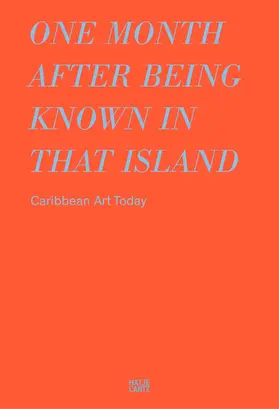 Stang |  One month after being known in that island | Buch |  Sack Fachmedien