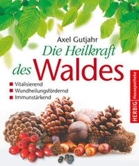 Gutjahr |  Die Heilkraft des Waldes | Buch |  Sack Fachmedien