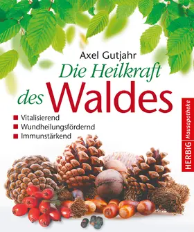 Gutjahr |  Die Heilkraft des Waldes | eBook | Sack Fachmedien