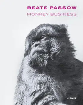 Murr | Beate Passow | Buch | 978-3-7774-3034-8 | sack.de
