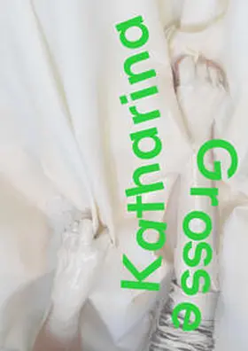 Schröder / Stief |  Katharina Grosse | Buch |  Sack Fachmedien