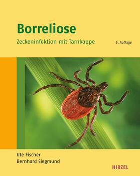 Fischer / Siegmund | Borreliose | Buch | 978-3-7776-1798-5 | sack.de