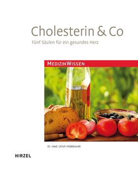 Hildebrandt | Cholesterin & Co | Buch | 978-3-7776-2139-5 | sack.de