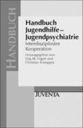 Fegert / Schrapper |  Handbuch Jugendhilfe - Jugendpsychiatrie | Buch |  Sack Fachmedien