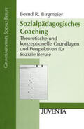 Birgmeier |  Sozialpädagogisches Coaching | Buch |  Sack Fachmedien