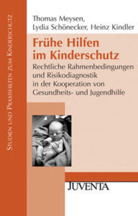 Meysen / Schönecker / Kindler | Frühe Hilfen im Kinderschutz | Buch | sack.de