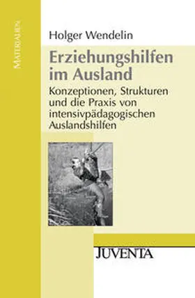 Wendelin |  Erziehungshilfen im Ausland | Buch |  Sack Fachmedien