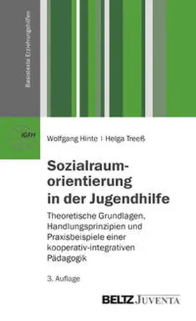 Hinte / Treeß |  Sozialraumorientierung in der Jugendhilfe | Buch |  Sack Fachmedien