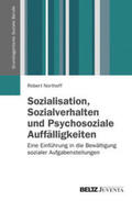 Northoff |  Sozialisation, Sozialverhalten und Psychosoziale Auffälligkeiten | Buch |  Sack Fachmedien