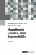 Schröer / Struck / Wolff |  Handbuch Kinder- und Jugendhilfe | Buch |  Sack Fachmedien