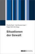 Equit / Groenemeyer / Schmidt |  Situationen der Gewalt | Buch |  Sack Fachmedien