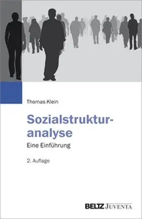 Klein |  Sozialstrukturanalyse | Buch |  Sack Fachmedien