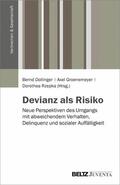 Dollinger / Groenemeyer / Rzepka |  Devianz als Risiko | eBook | Sack Fachmedien