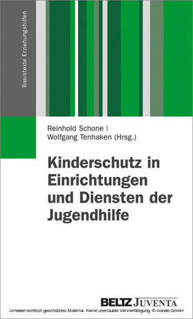 Schone / Tenhaken | Kinderschutz in Einrichtungen und Diensten der Jugendhilfe | E-Book | sack.de
