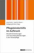 Kuhls / Schröer / Glaum |  Pflegekinderhilfe im Aufbruch | eBook | Sack Fachmedien