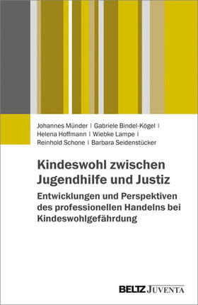 Münder | Kindeswohl zwischen Jugendhilfe und Justiz | E-Book | sack.de