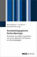 Birgmeier / Mührel / Winkler |  Sozialpädagogische SeitenSprünge | eBook | Sack Fachmedien