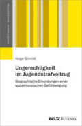 Schmidt |  Schmidt, H: Ungerechtigkeit im Jugendstrafvollzug | Buch |  Sack Fachmedien