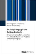 Birgmeier / Mührel / Winkler |  Sozialpädagogische SeitenSprünge | Buch |  Sack Fachmedien