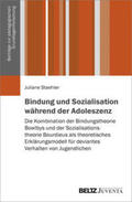 Staehler |  Bindung und Sozialisation während der Adoleszenz | Buch |  Sack Fachmedien