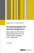 Uhlendorff / Cinkl |  Sozialpädagogische Familiendiagnosen | Buch |  Sack Fachmedien