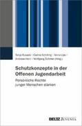 Schröer / Schilling / Herz |  Schutzkonzepte in der Offenen Jugendarbeit | eBook | Sack Fachmedien