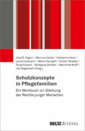 Gulde / Henn / Husmann | Schutzkonzepte in Pflegefamilien | E-Book | sack.de