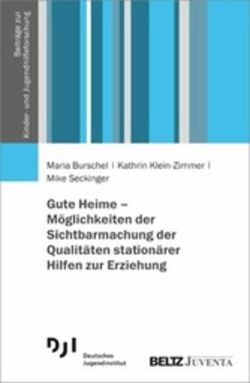 Seckinger / Klein-Zimmer / Burschel | Gute Heime - Möglichkeiten der Sichtbarmachung der Qualitäten stationärer Hilfen zur Erziehung | E-Book | sack.de