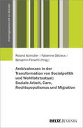 Atzmüller / Décieux / Ferschli |  Ambivalenzen in der Transformation von Sozialpolitik und Wohlfahrtsstaat | Buch |  Sack Fachmedien