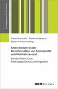 Atzmüller / Décieux / Ferschli |  Ambivalenzen in der Transformation von Sozialpolitik und Wohlfahrtsstaat | eBook | Sack Fachmedien