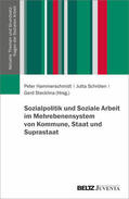 Hammerschmidt / Schröten / Stecklina |  Sozialpolitik und Soziale Arbeit im Mehrebenensystem von Kommune, Staat und Suprastaat | Buch |  Sack Fachmedien