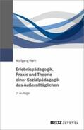 Wahl |  Erlebnispädagogik. Praxis und Theorie einer Sozialpädagogik des Außeralltäglichen | eBook | Sack Fachmedien