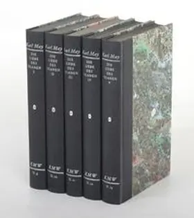 May / Wiedenroth / Wollschläger |  Karl Mays Werke: Historisch-Kritische Ausgabe für die Karl-May-Stiftung / Abteilung II: Fortsetzungsromane / Die Liebe des Ulanen II | Buch |  Sack Fachmedien