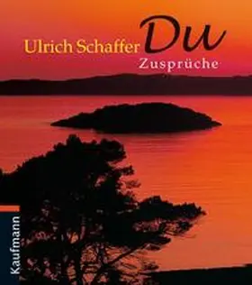Schaffer |  Du | Buch |  Sack Fachmedien