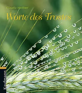 Meißner |  Worte des Trostes | Buch |  Sack Fachmedien