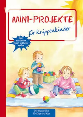 Klein / Ahrens / Klages |  Mini-Projekte | Buch |  Sack Fachmedien