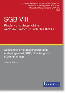 SGB VIII - Kinder- und Jugendhilfe nach der Reform durch das KJSG | Buch | 978-3-7841-3394-2 | sack.de