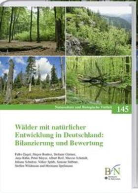 Engel / Bauhus / Gärtner | Wälder mit natürlicher Entwicklung in Deutschland: Bilanzierung und Bewertung | Buch | 978-3-7843-4045-6 | sack.de