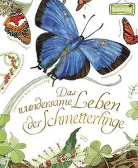 Aston |  Das wundersame Leben der Schmetterlinge | Buch |  Sack Fachmedien