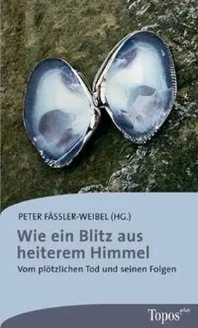 Fässler-Weibel |  Wie ein Blitz aus heiterem Himmel | Buch |  Sack Fachmedien