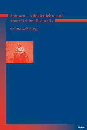 Waibel |  Affektenlehre und amor Dei intellectualis | eBook | Sack Fachmedien