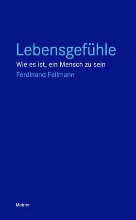 Fellmann |  Lebensgefühle | eBook | Sack Fachmedien